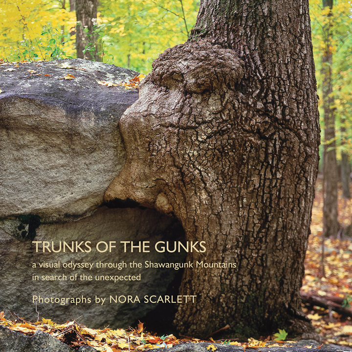 Trunks of the Gunks - Click Image to Close